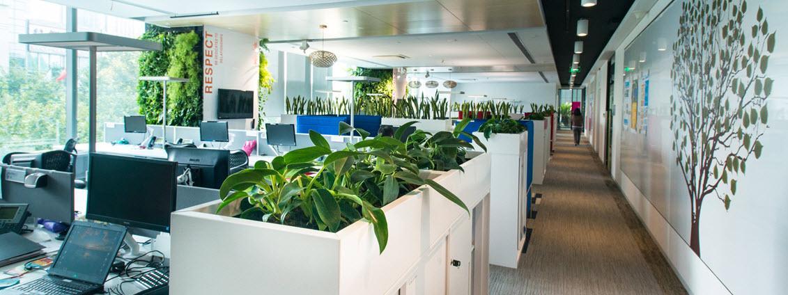 The Benefits of Green Office Spaces In The Philippines